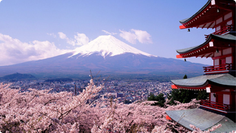 Visita Japón